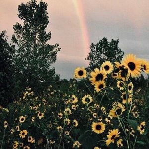 Meet your Posher, Zaidy